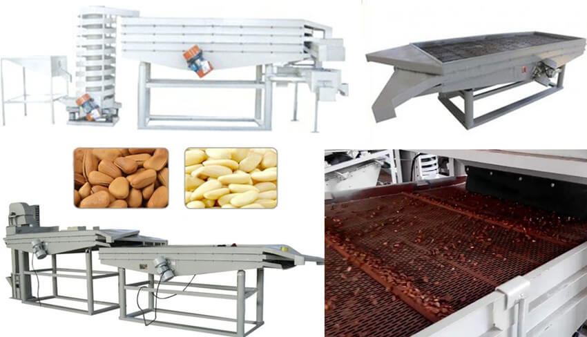 pine-nut-grading-equipment.jpg